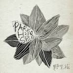 박효신 - 야생화 가사