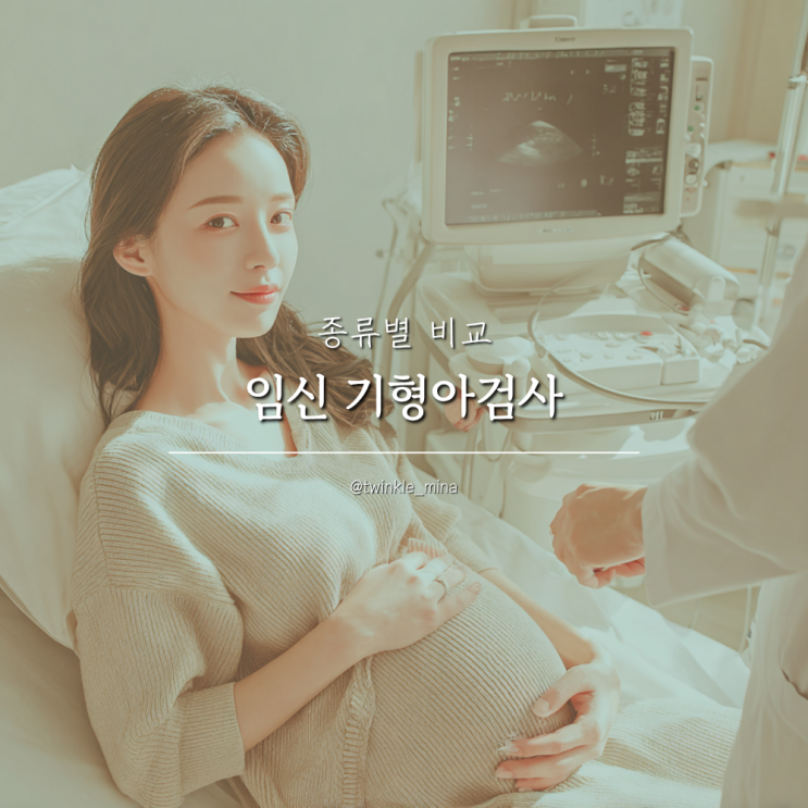  임신 기형아검사 비교 니프티검사 양수검사 융모막검사