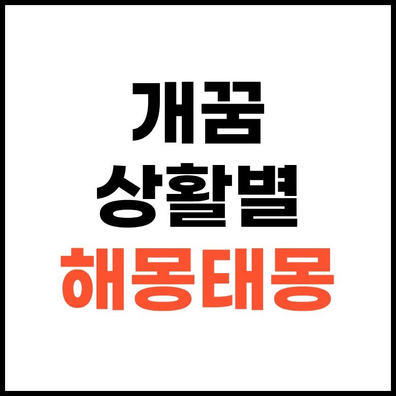 개꿈 해몽풀이 큰개 검은개 물리는 꿈 공격하는 꿈 정리