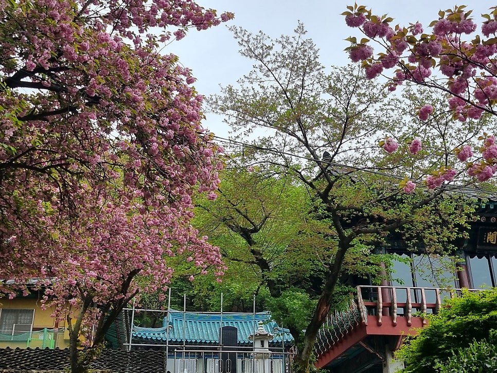 인디안카페 사진 2