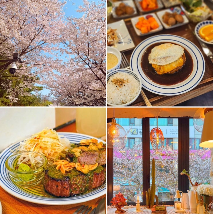  성신여대점심 추천 ㅣ 스레드에서도 유명한 벚꽃 맛집 윤휘식당