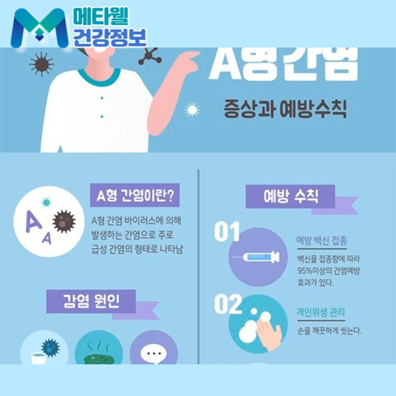 "피로한 게 간 때문인가요?" A형, B형, C형 간염 초기증상과 치료 방법 비교