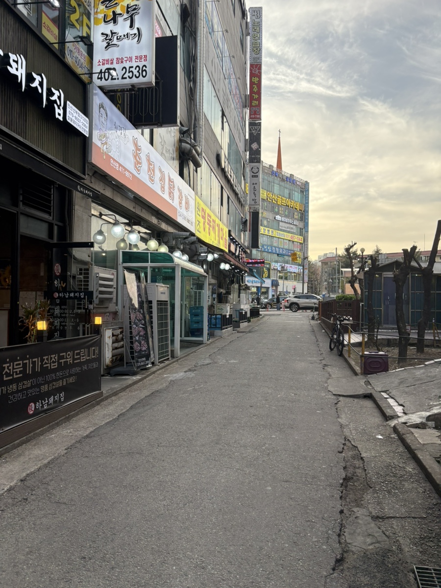 춘참치 사진 2