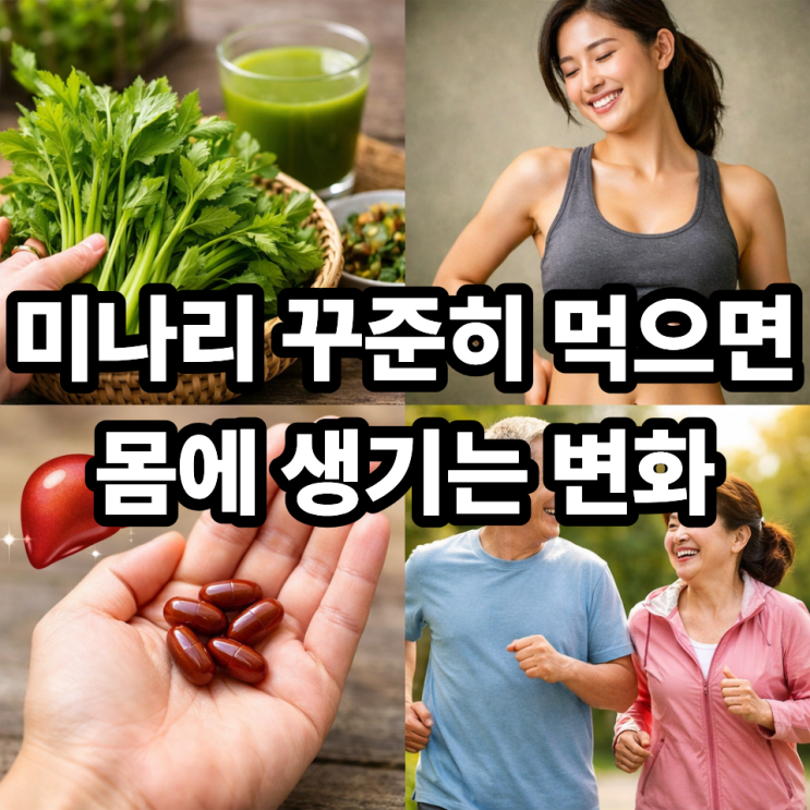  미나리 꾸준히 먹으면 생기는 변화 (몸이 달라지는 이유)