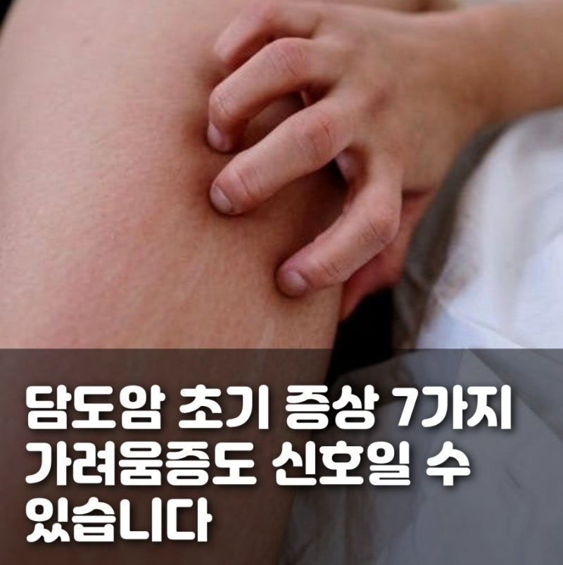 담도암 초기 증상 7가지, 가려움증도 담도암 신호일 수 있습니다