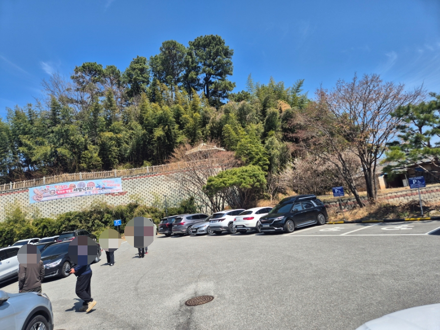 목포갯벌낙지 사진 6