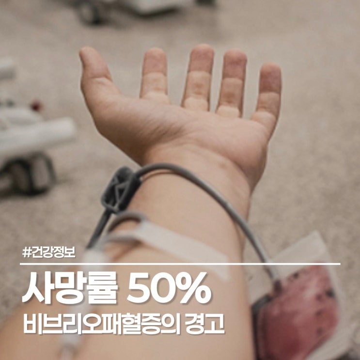  여름 회, 진짜 먹으면 안 될까? 사망률 50% 비브리오패혈증의 경고