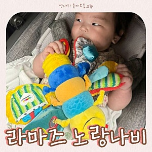 5개월 6개월 아기장난감 라마즈 노랑나비 유모차장난감 핸들 최애된 후기