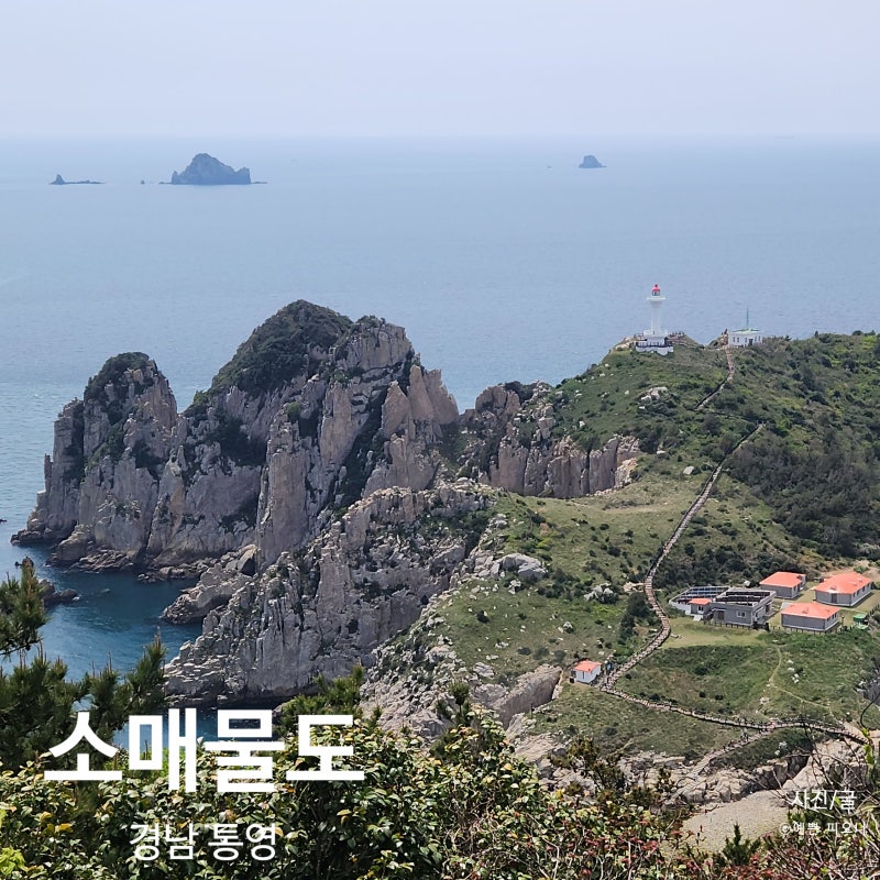 통영 소매물도 봄여행 거제 저구항 통영항 배편 비교 물때표