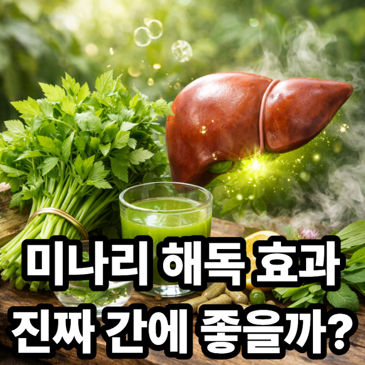  미나리 해독 작용, 간 건강에 좋은 이유