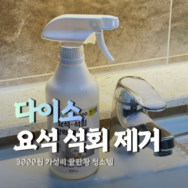 다이소 석회제거제 요석제거제 변기 싱크대 추천