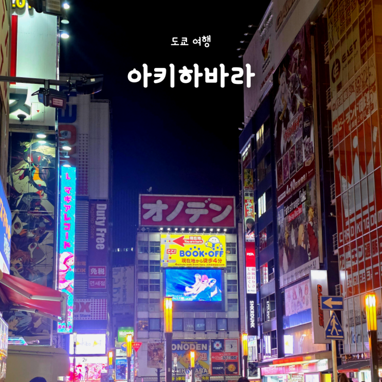 도쿄여행, 오타쿠의 성지 아키하바라 탐방 (피규어샵 라신반 방문기)