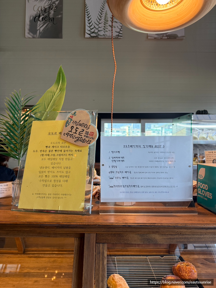 오도르 사진 2