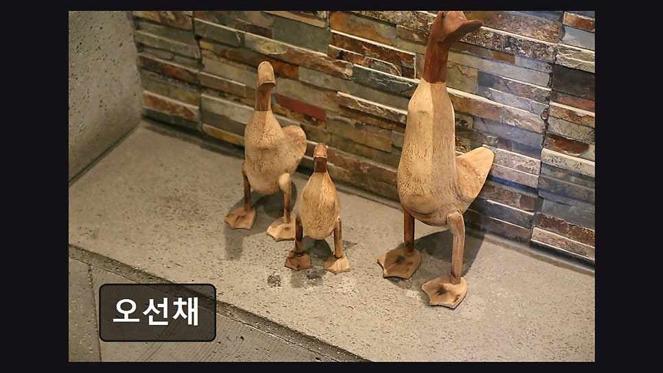 오선채 사진 1