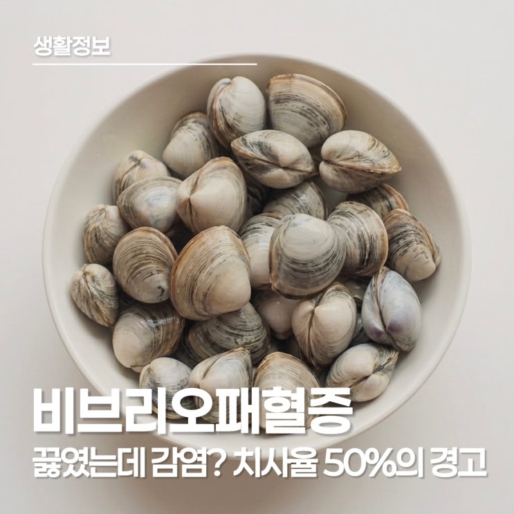  질병관리청 경고, 치사율 50% 비즈리오패혈증 주의가 필요합니다