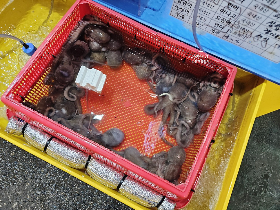 훈수산 사진 5