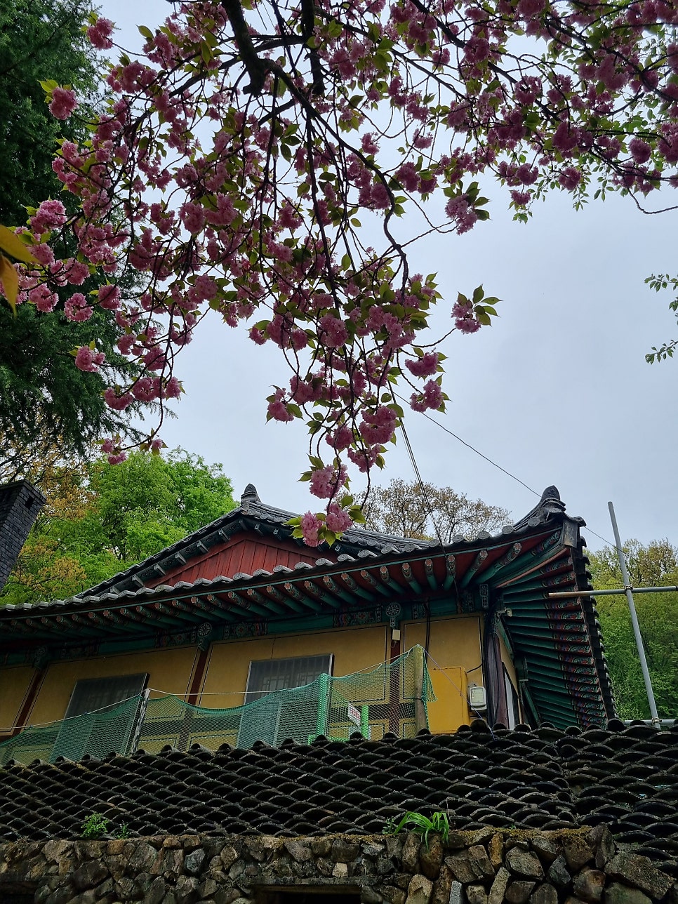 인디안카페 사진 3