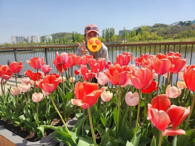 서울  가족 나들이 꽃구경 핫플 장소   마곡 서울 식물원  피크닉하며 노란 수선화 형형색색  ....