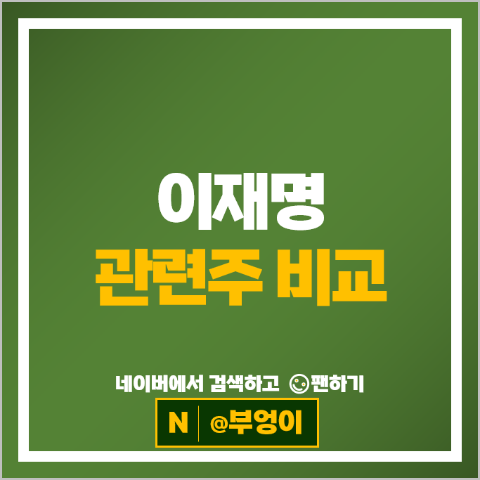 대장 정치 테마주 이재명 관련주 알아볼까