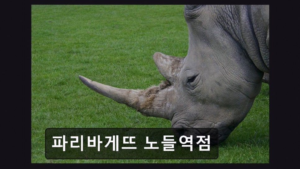 파리바게뜨 노들역점 사진 3