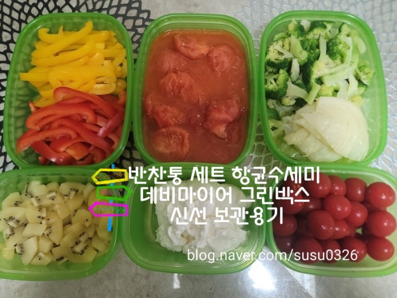 반찬통 세트 항균수세미 데비마이어 그린박스 신선 보관용기