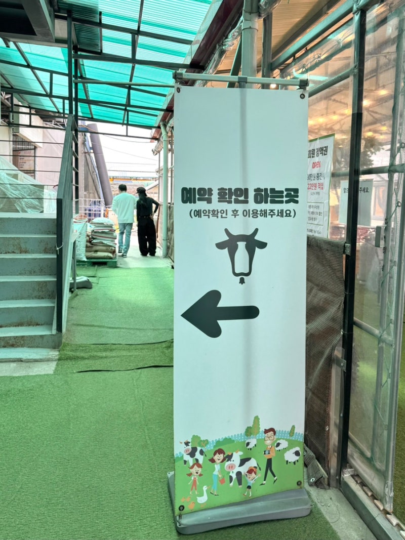 김포 아이랑 갈만한곳 연보람목장 예약 방법부터 시간 체험까지 다녀온 솔직 후기