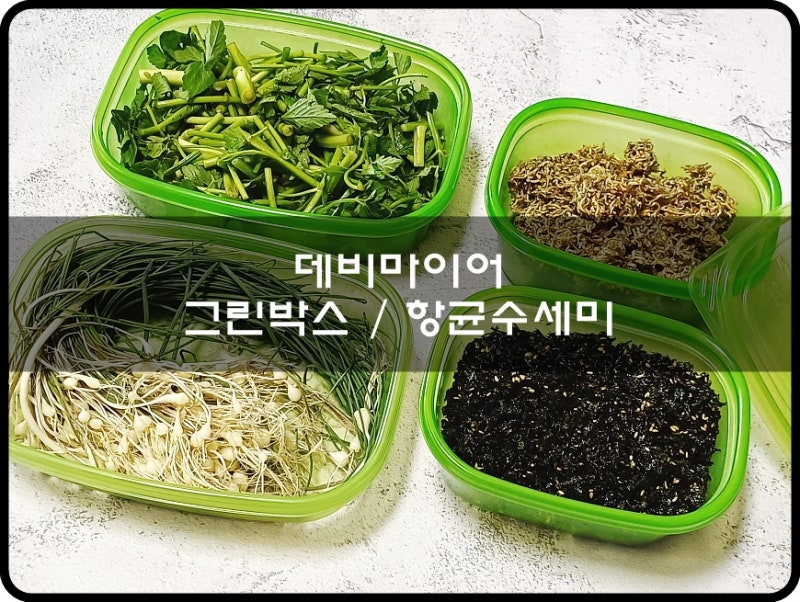 그린박스 추천 반찬통 세트 신선함 오래 유지 항균수세미 데비마이어