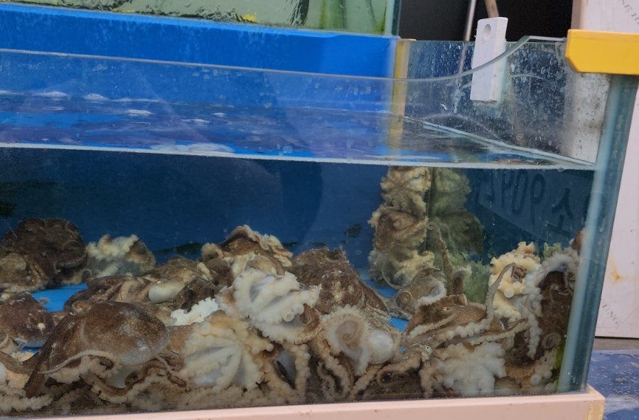 청해당 본점 사진 2