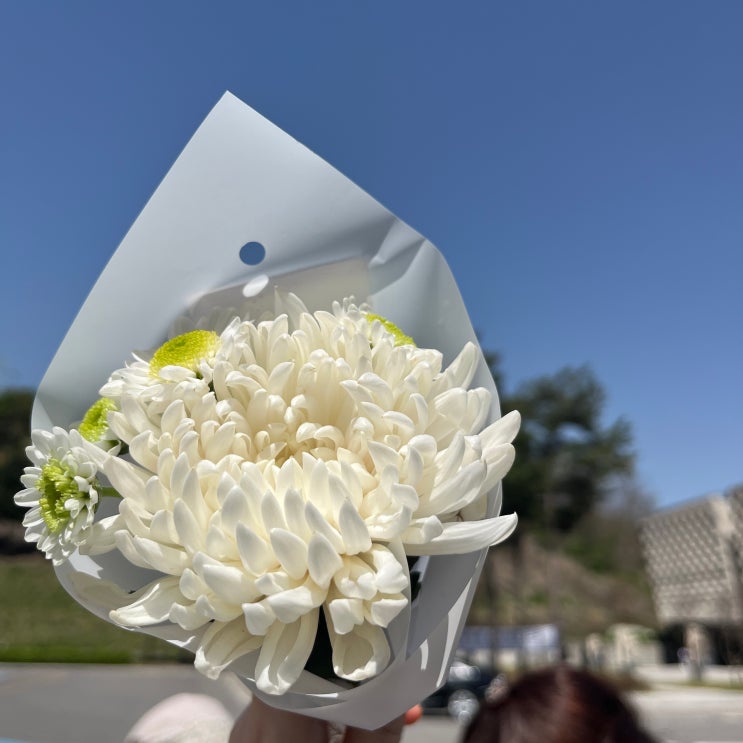  비바람 몰아쳐도 이겨내고 일곱번 넘어져도 울지 말고 돌격!!!