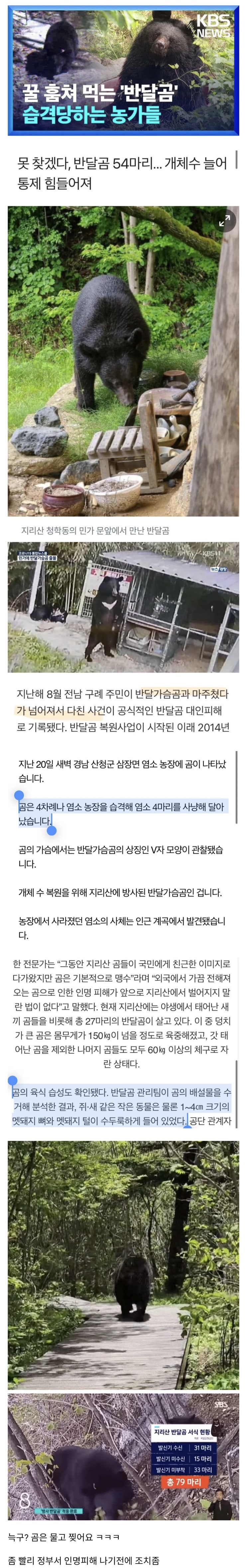  언제 사람 죽을지 모르는 지리산 반달곰.jpg