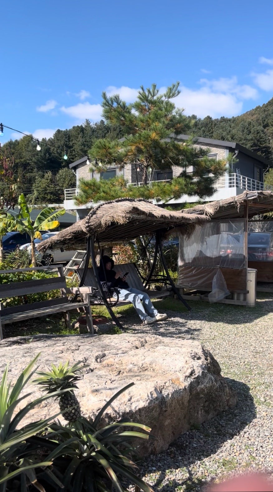 황금가지 사진 6