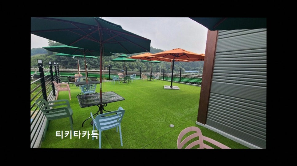 티키타카독 사진 3