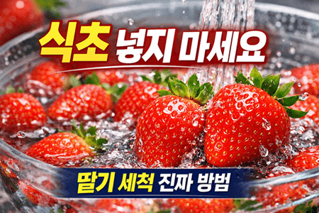 딸기 씻는 법 이렇게 하세요｜식약처 기준 농약 제거 + 세척기 비교 총정리(손세척 vs 과일세....