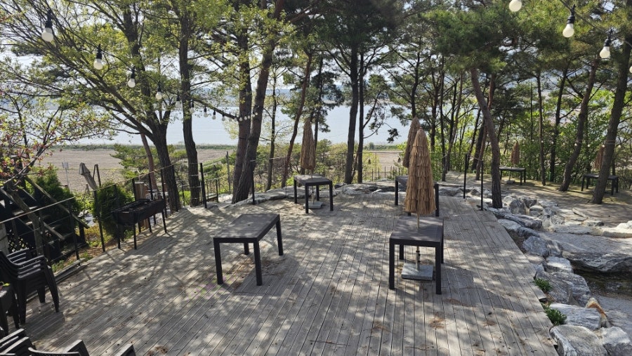 아잘리아그린캠핑장 사진 4