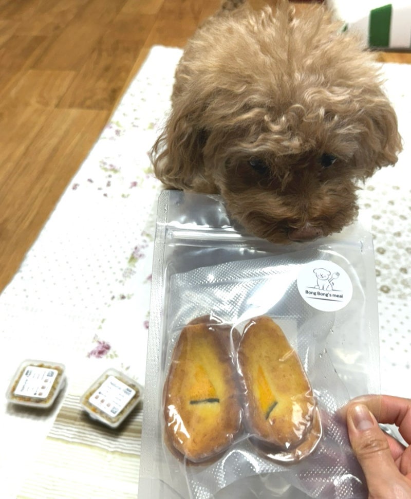 사진 8