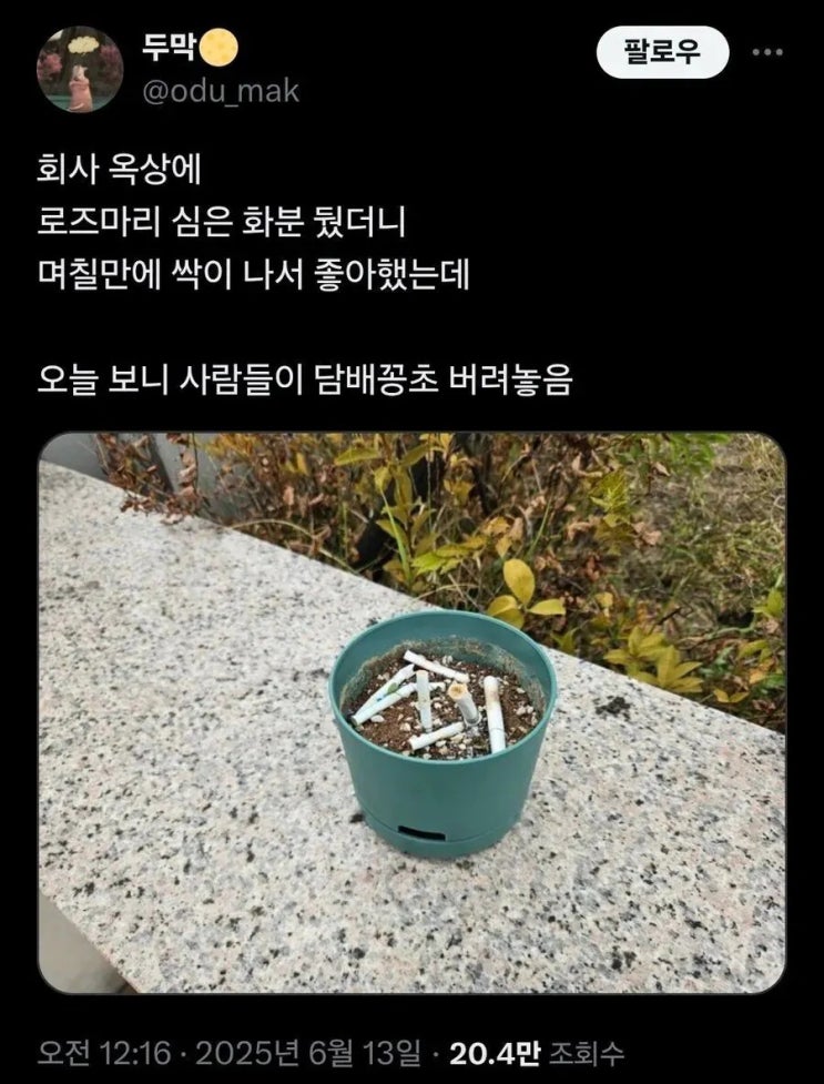  좋은마음으로 한 일 결과가 슬픈 트위터 언냐