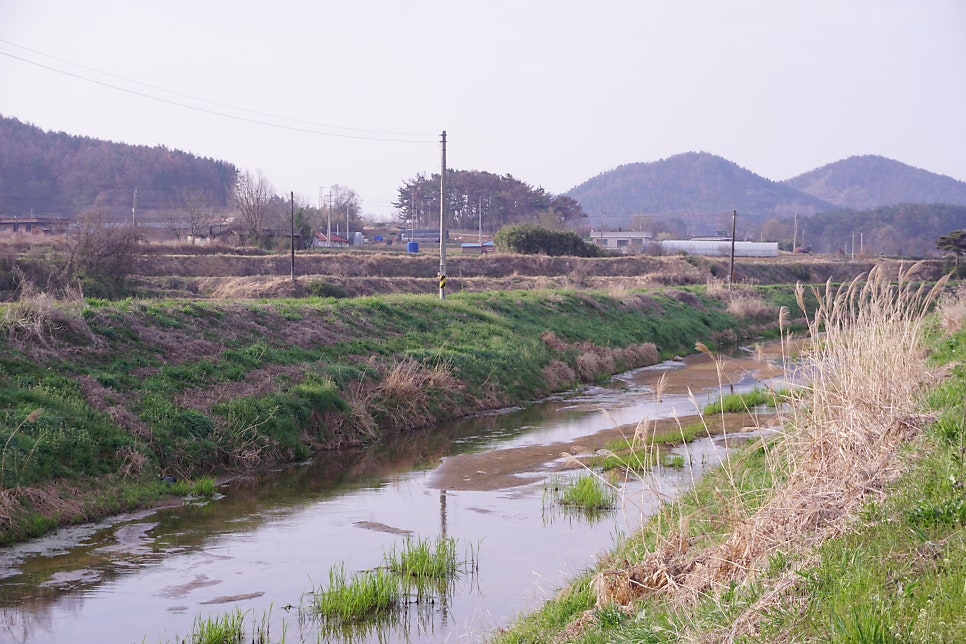 삭선 사진 2