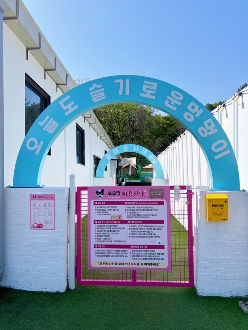 사진 5