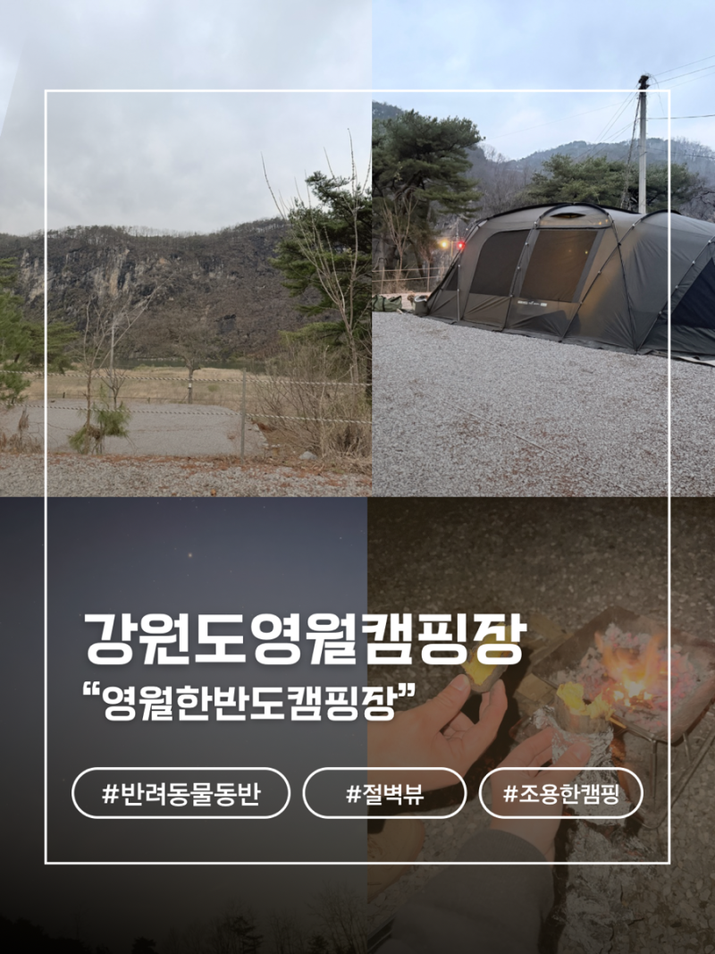 사진 3