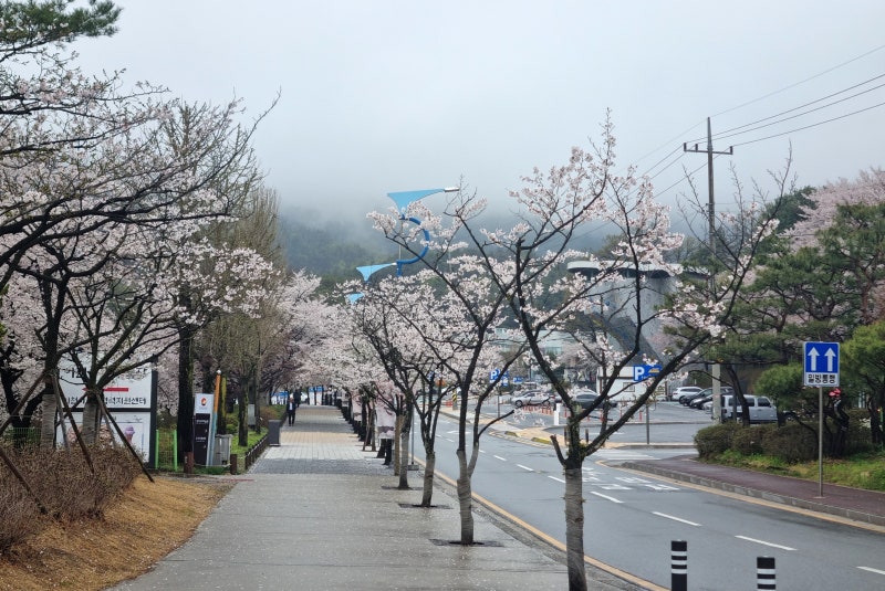 사진 2