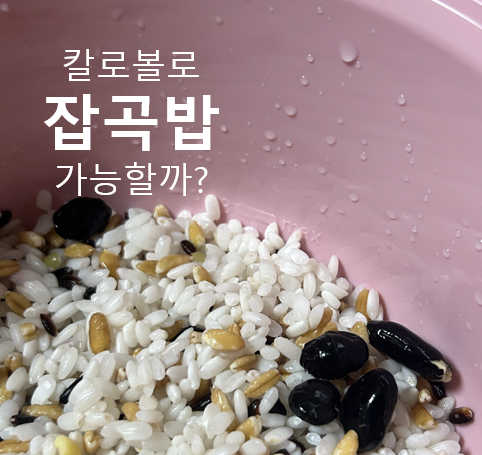 칼로볼 저당밥솥 후기 그리고 사용방법 (현미밥/잡곡/콩도 가능할까?)
