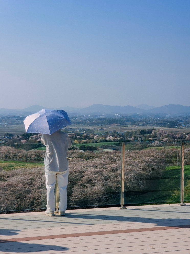  서산 필수 여행 코스, 서산한우목장 웰빙산책로(주차장, 가는 법)