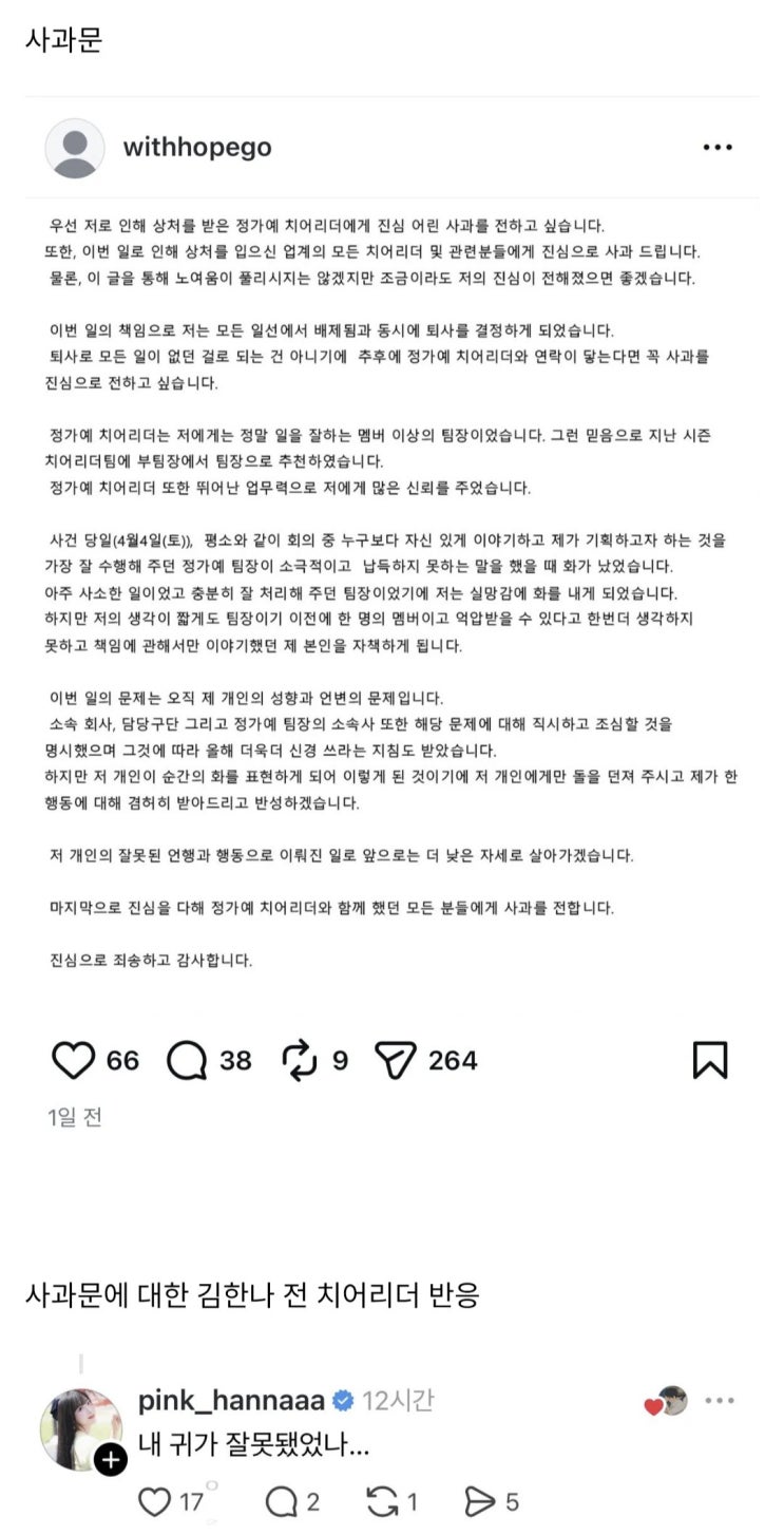  정가예 치어리더에 대한 당사자 사과문