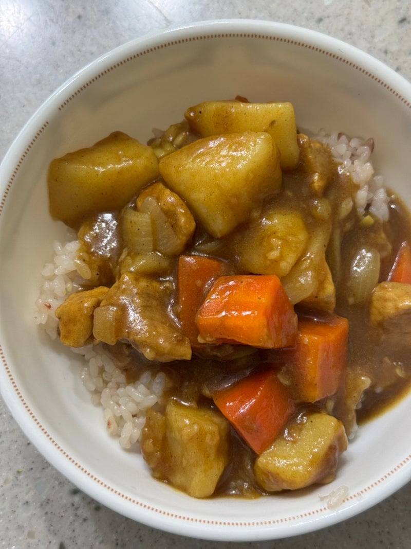 일본 고형 카레 추천 초간단 레시피 정말 맛있음