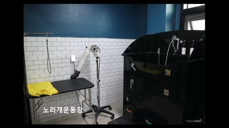 사진 9