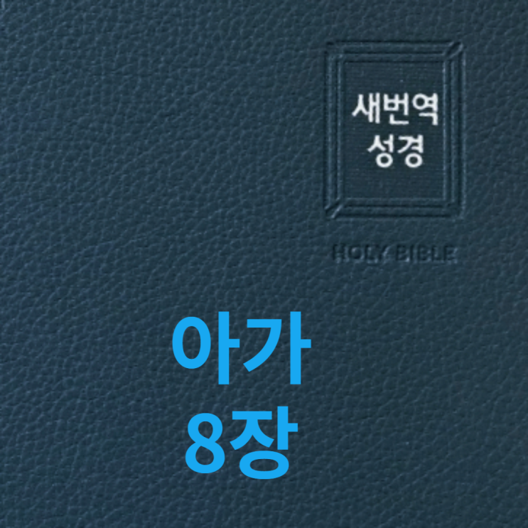  아가 8장