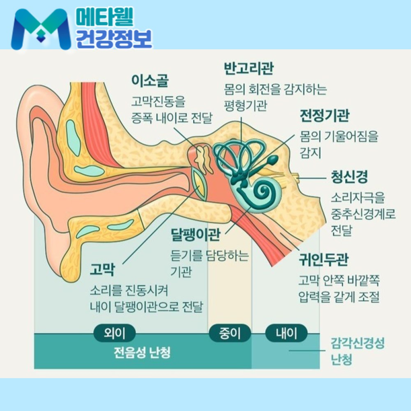 "한쪽 귀가 꽉 막힌 느낌?" 귀 먹먹함 원인과 즉시 해결하는 방법