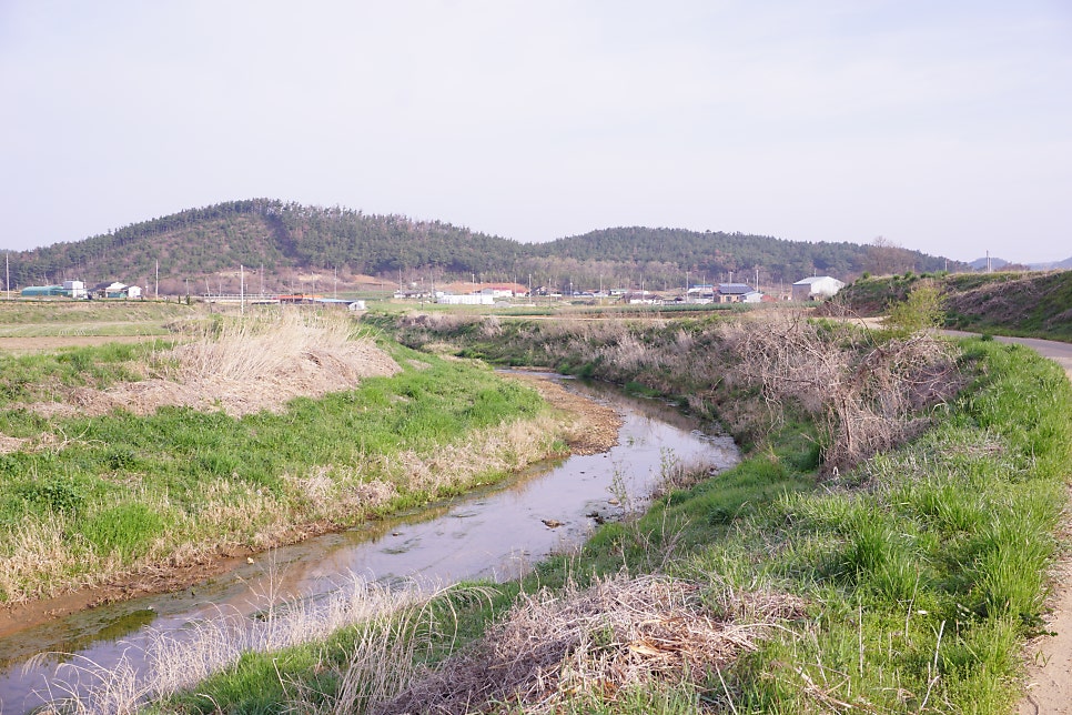 삭선 사진 3