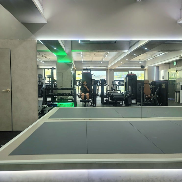  구성동 아이언 93 피트니스 헬스장 한 달 운동 기록