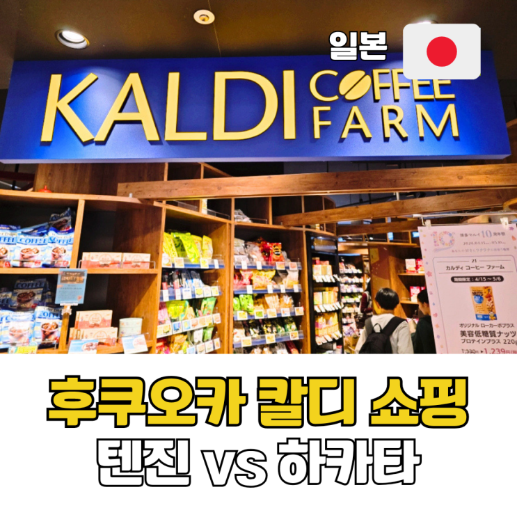  후쿠오카 쇼핑 칼디 KALDI 텐진점 vs 하카타역점 위치 추천템 면세 정보